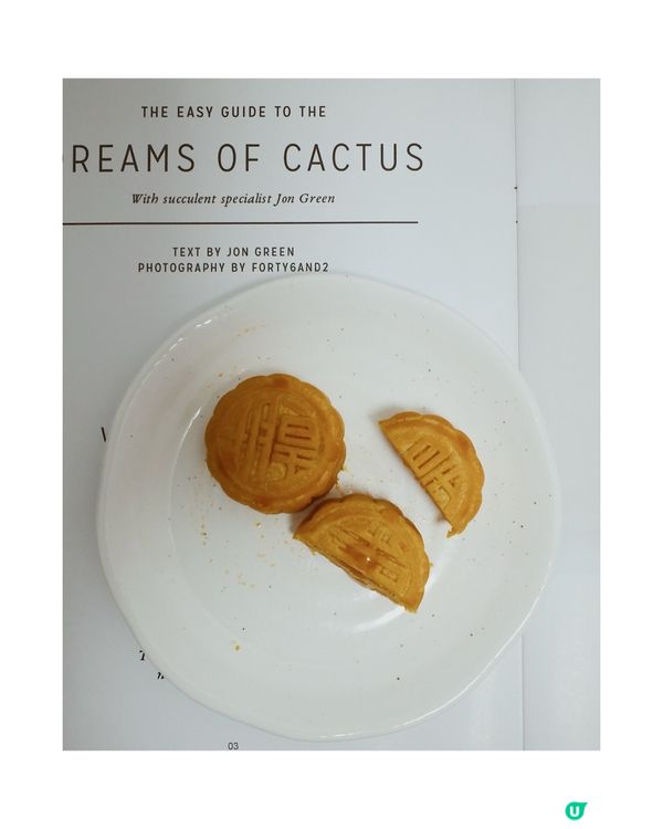 柑桔流心月餅｜皇玥 🥮