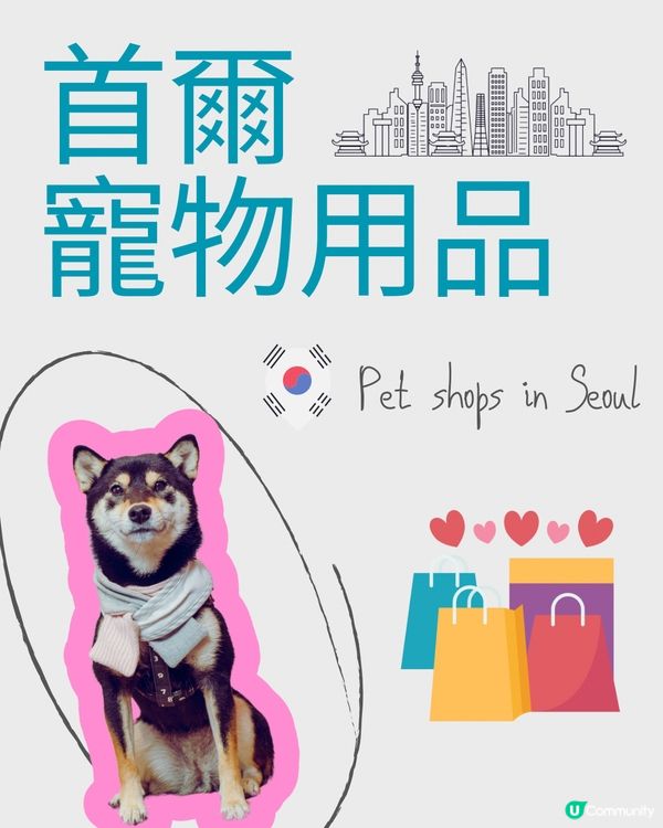 🇰🇷 首爾寵物用品店合集