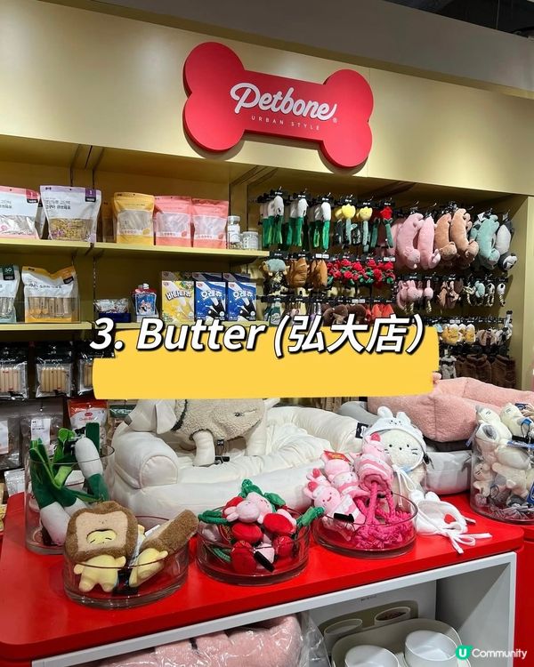 🇰🇷 首爾寵物用品店合集