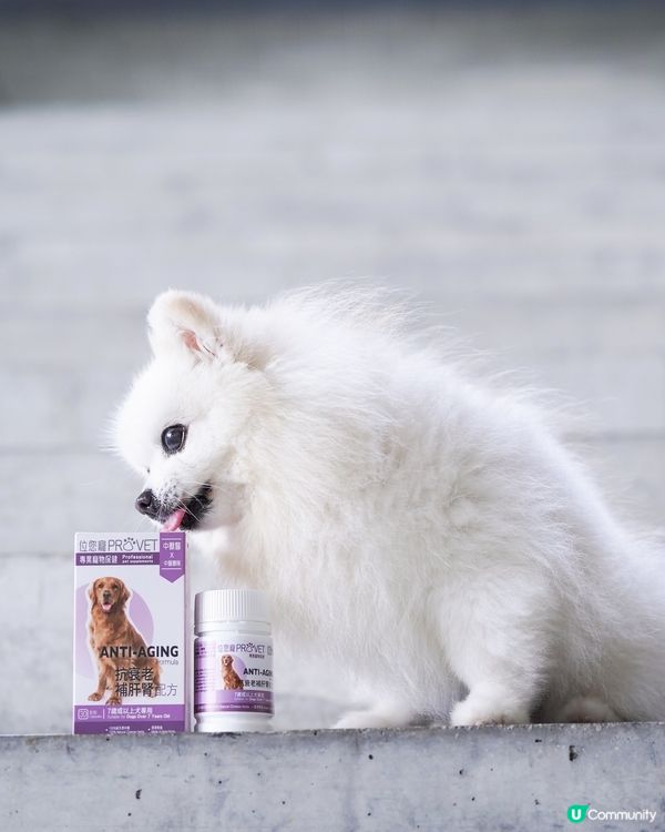 純中藥成份嘅狗狗抗衰老保健品✨