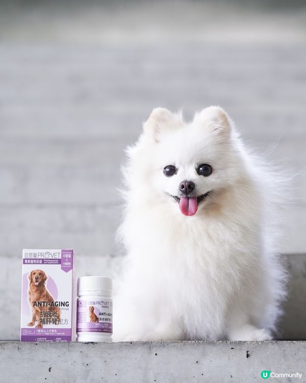 純中藥成份嘅狗狗抗衰老保健品✨