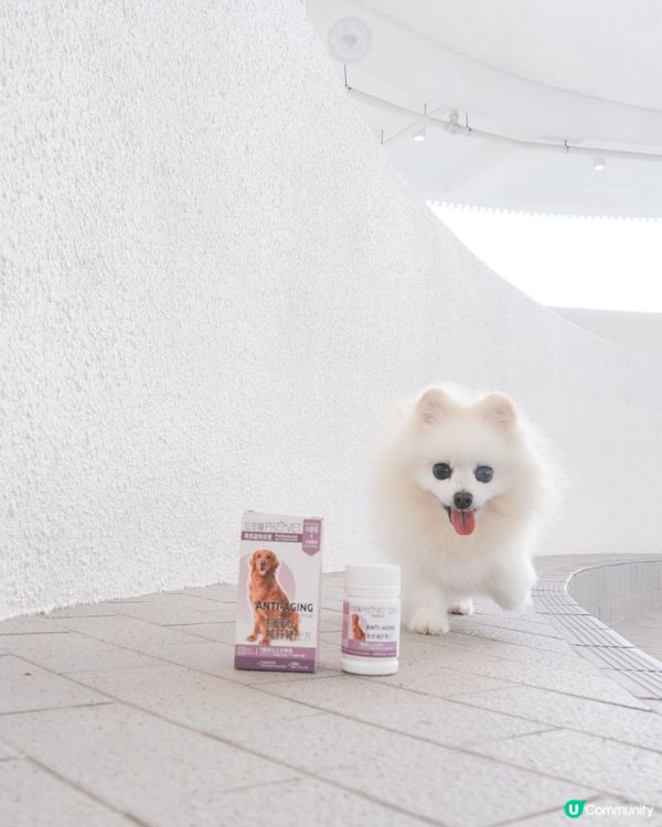 純中藥成份嘅狗狗抗衰老保健品✨