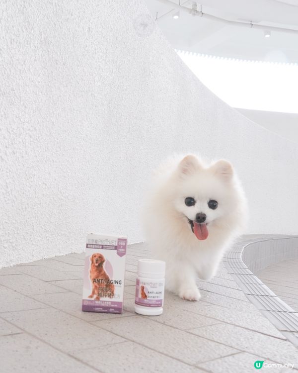 純中藥成份嘅狗狗抗衰老保健品✨