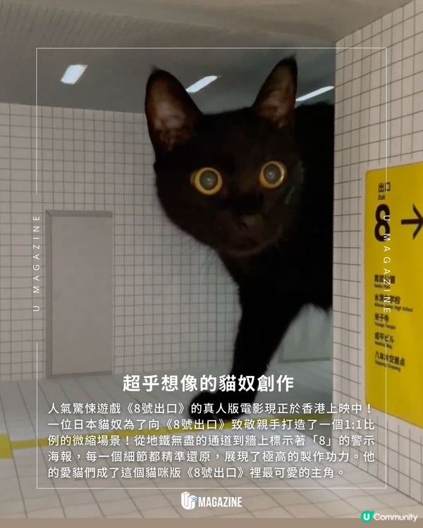 日本貓奴神還原《8號出口》 貓咪的無限迴圈？為了讓主子們巡邏！