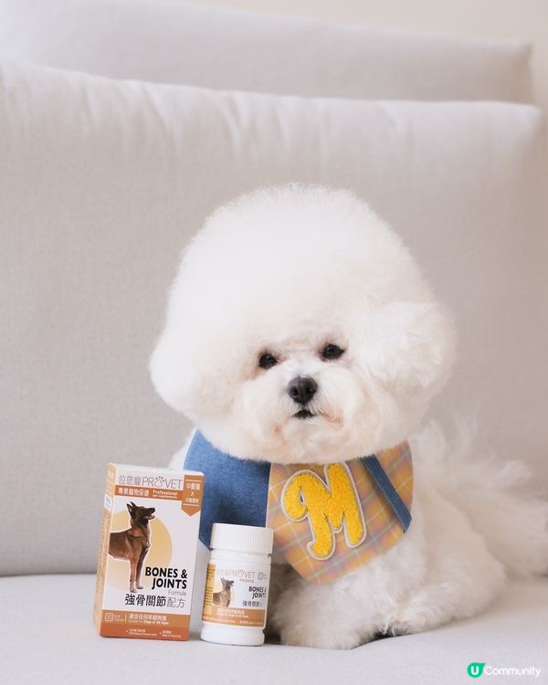 出街放電跑跑跑！🦴💪🏻 狗狗關節要補吓！