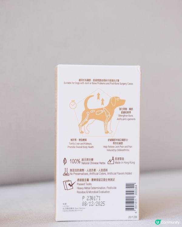 出街放電跑跑跑！🦴💪🏻 狗狗關節要補吓！