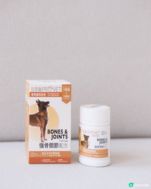 出街放電跑跑跑！🦴💪🏻 狗狗關節要補吓！