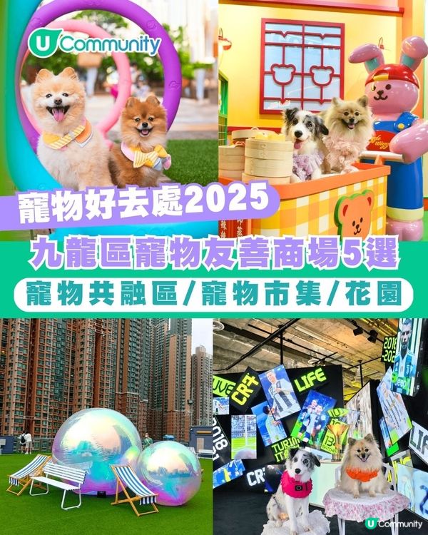 寵物好去處2025｜九龍區寵物友善商場5選 寵物共融區/寵物市集/花園