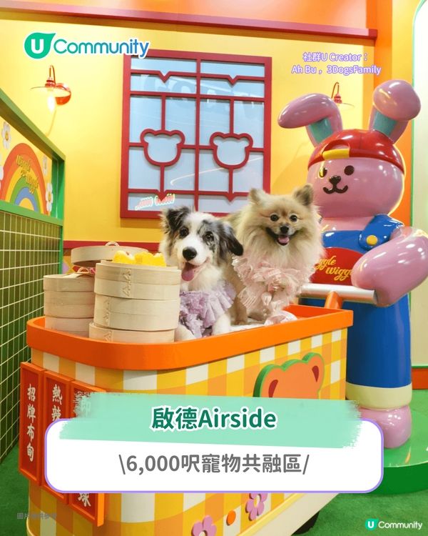 寵物好去處2025｜九龍區寵物友善商場5選 寵物共融區/寵物市集/花園