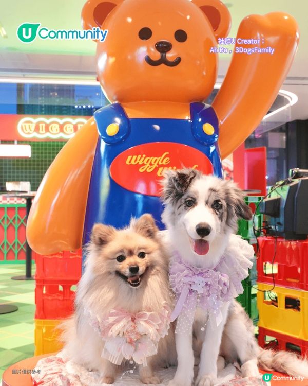 寵物好去處2025｜九龍區寵物友善商場5選 寵物共融區/寵物市集/花園