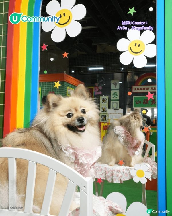 寵物好去處2025｜九龍區寵物友善商場5選 寵物共融區/寵物市集/花園