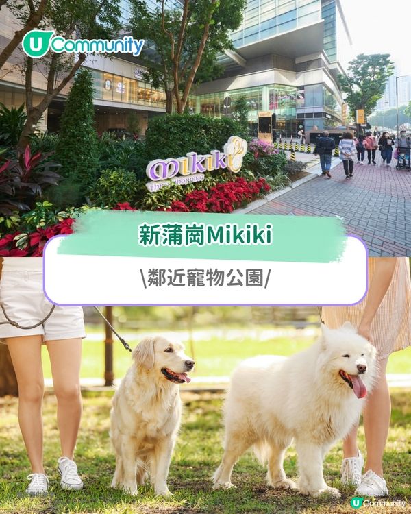 寵物好去處2025｜九龍區寵物友善商場5選 寵物共融區/寵物市集/花園