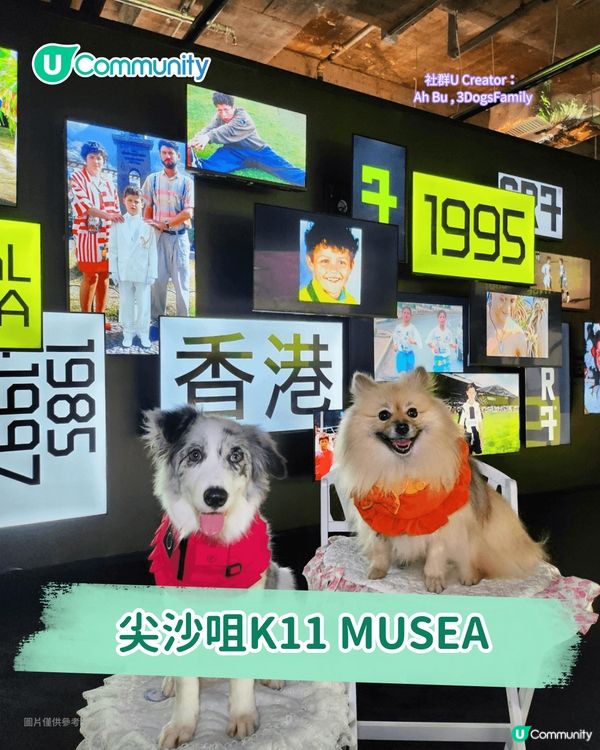 寵物好去處2025｜九龍區寵物友善商場5選 寵物共融區/寵物市集/花園