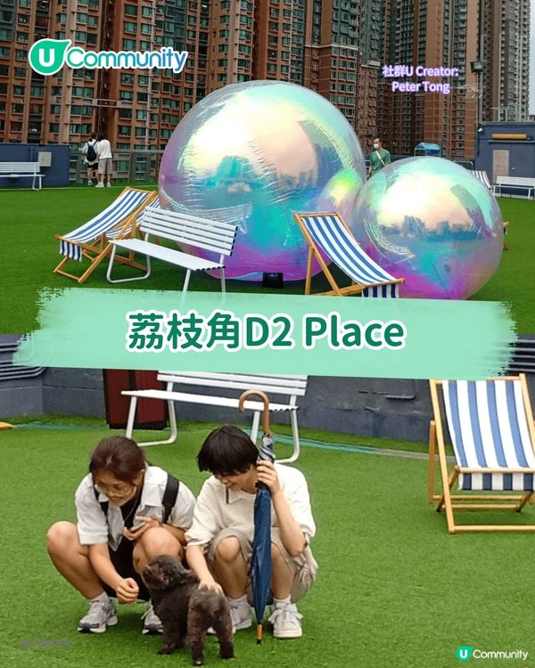 寵物好去處2025｜九龍區寵物友善商場5選 寵物共融區/寵物市集/花園