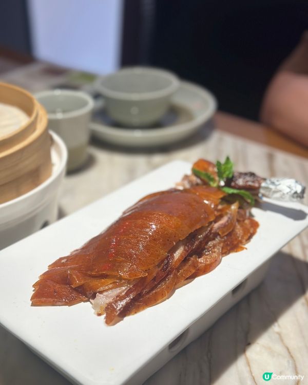 珠海斗門東北菜TOP1！¥128雙人餐實測！