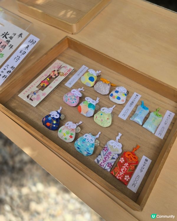 東京行到悶第一篇!🤭川越市真係好正!🎐 