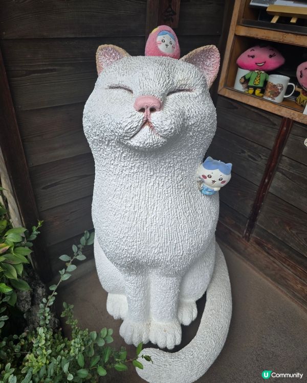 東京行到悶第一篇!🤭川越市真係好正!🎐 