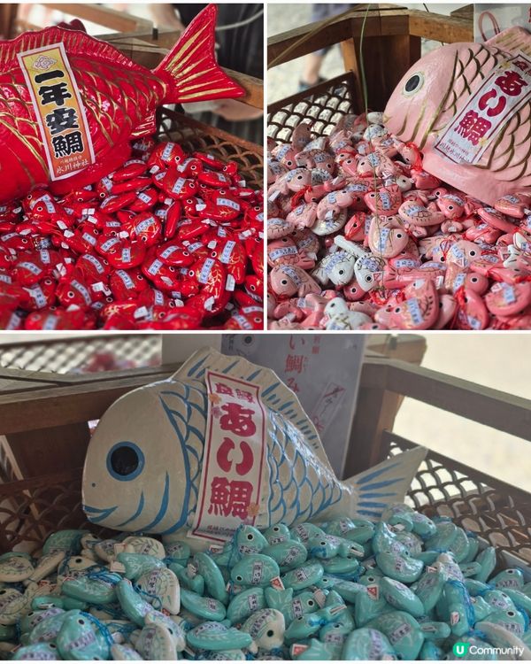 東京行到悶第一篇!🤭川越市真係好正!🎐 