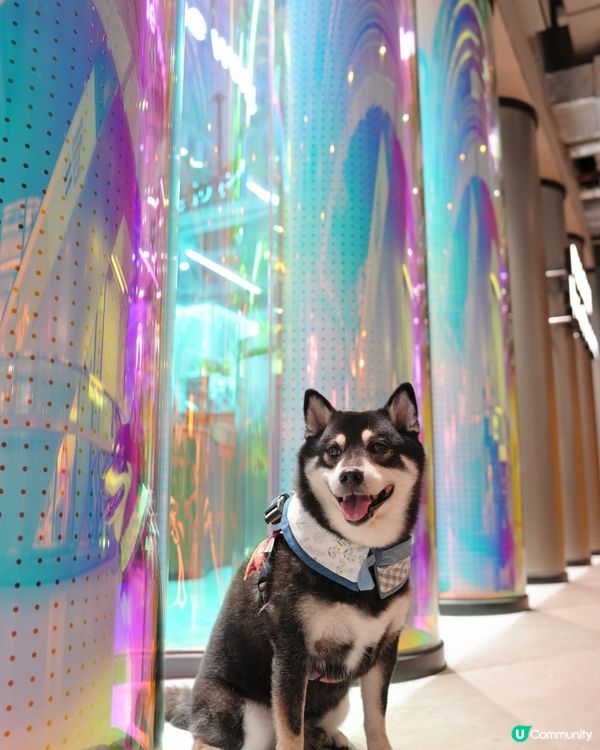 荃灣影相新蒲點📸！3000呎沉浸式體驗館🤩！即刻去打卡啦