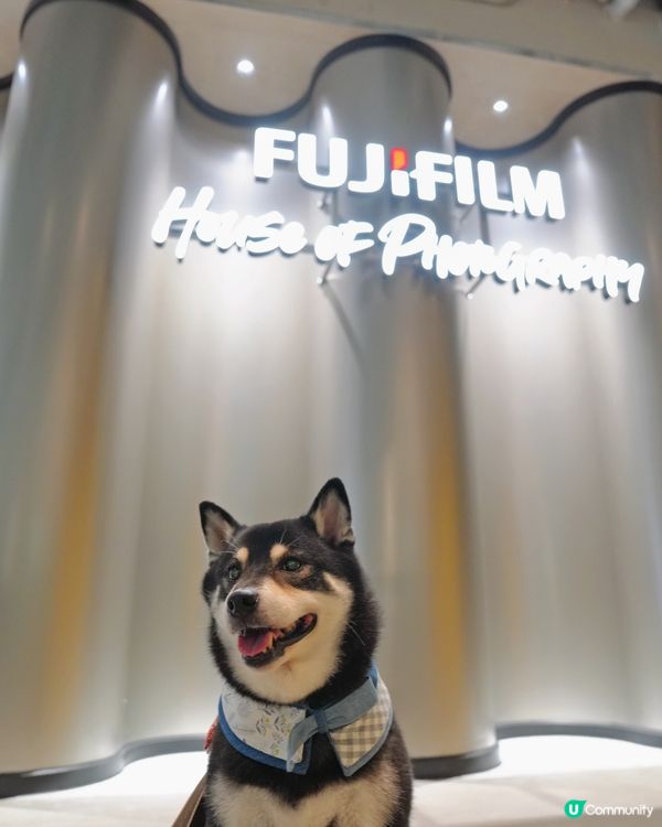 荃灣影相新蒲點📸！3000呎沉浸式體驗館🤩！即刻去打卡啦