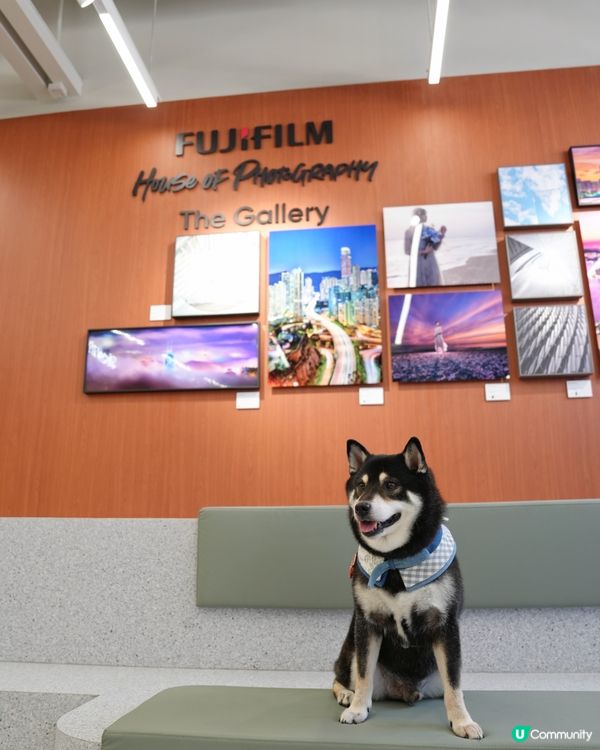 荃灣影相新蒲點📸！3000呎沉浸式體驗館🤩！即刻去打卡啦