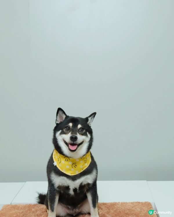 荃灣影相新蒲點📸！3000呎沉浸式體驗館🤩！即刻去打卡啦