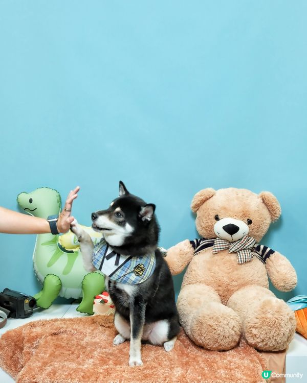 荃灣影相新蒲點📸！3000呎沉浸式體驗館🤩！即刻去打卡啦