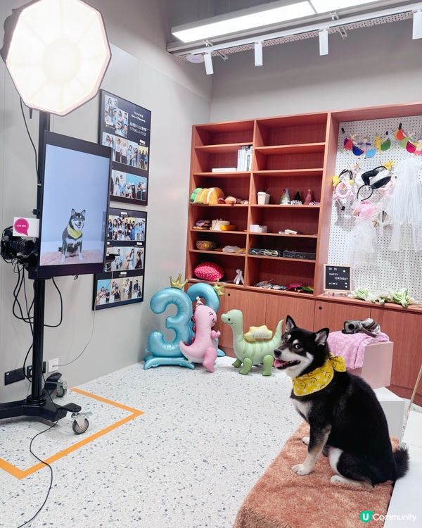 荃灣影相新蒲點📸！3000呎沉浸式體驗館🤩！即刻去打卡啦