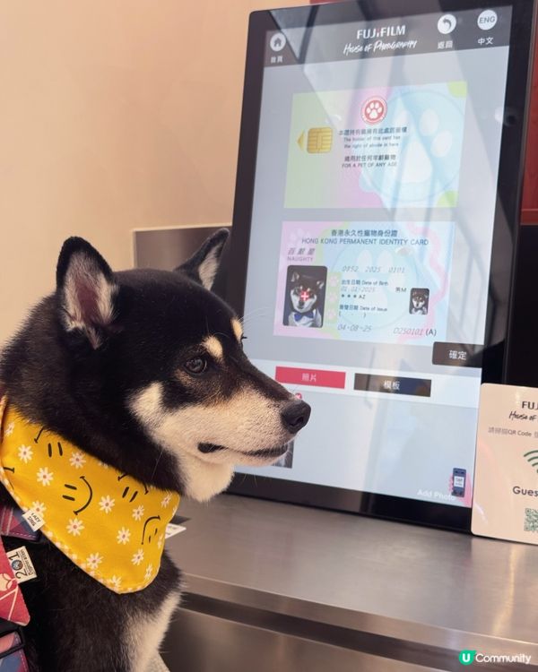 荃灣影相新蒲點📸！3000呎沉浸式體驗館🤩！即刻去打卡啦