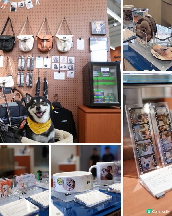 荃灣影相新蒲點📸！3000呎沉浸式體驗館🤩！即刻去打卡啦