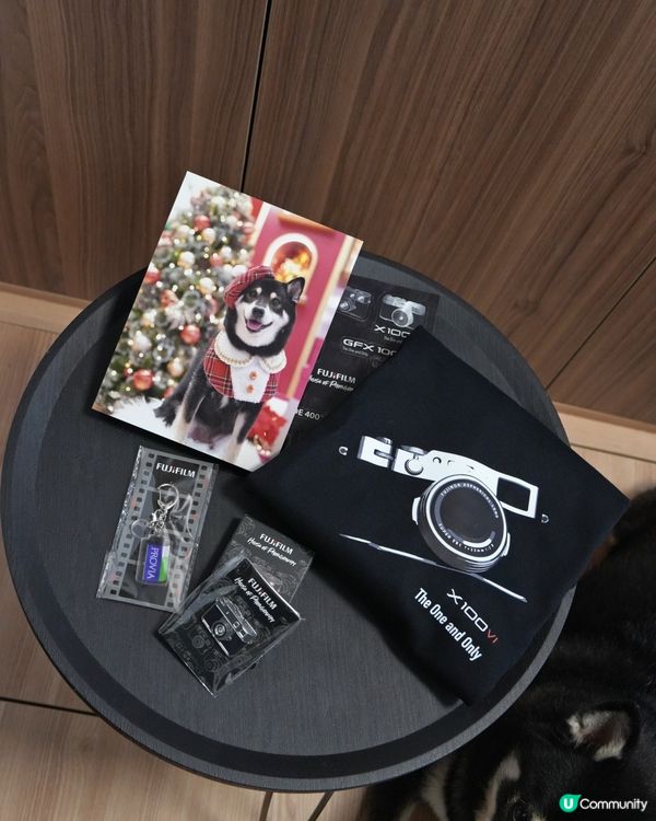 荃灣影相新蒲點📸！3000呎沉浸式體驗館🤩！即刻去打卡啦