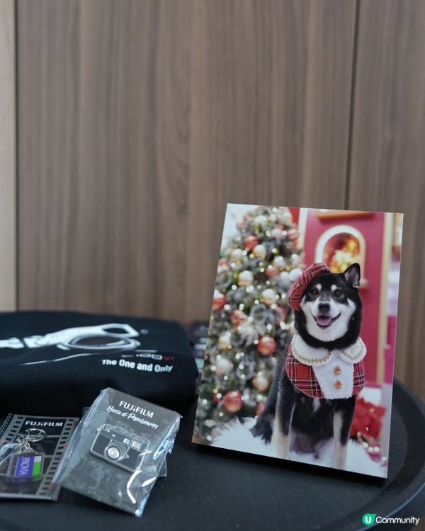 荃灣影相新蒲點📸！3000呎沉浸式體驗館🤩！即刻去打卡啦