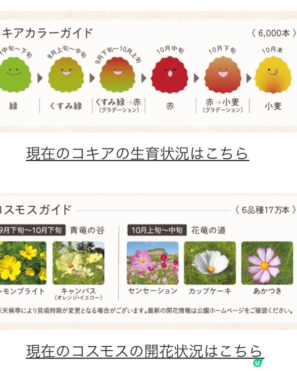 日本國營公園秋日賞花🌼