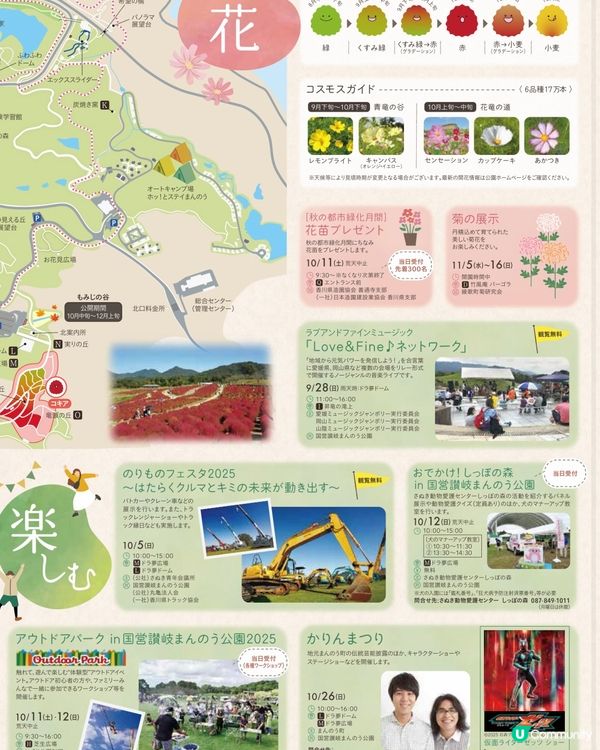 日本國營公園秋日賞花🌼