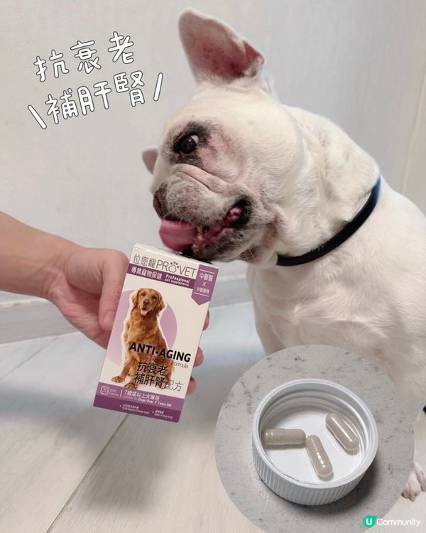 🐾目標：做個好肝好腎好男人💪🏻