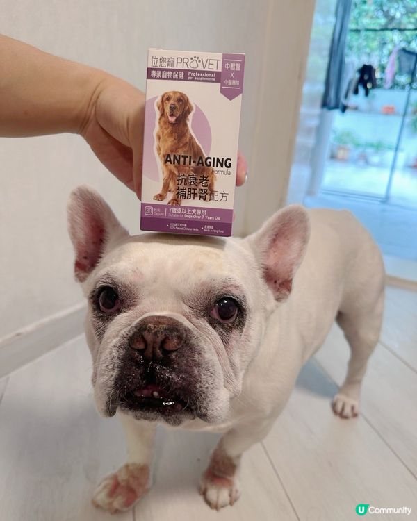 🐾目標：做個好肝好腎好男人💪🏻