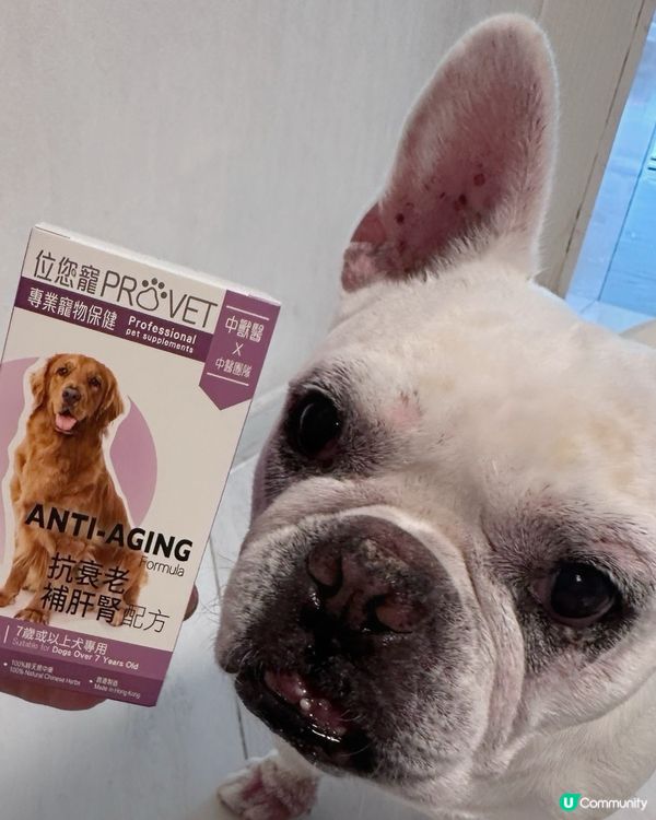 🐾目標：做個好肝好腎好男人💪🏻