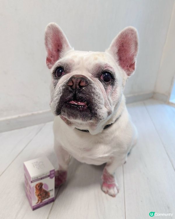 🐾目標：做個好肝好腎好男人💪🏻