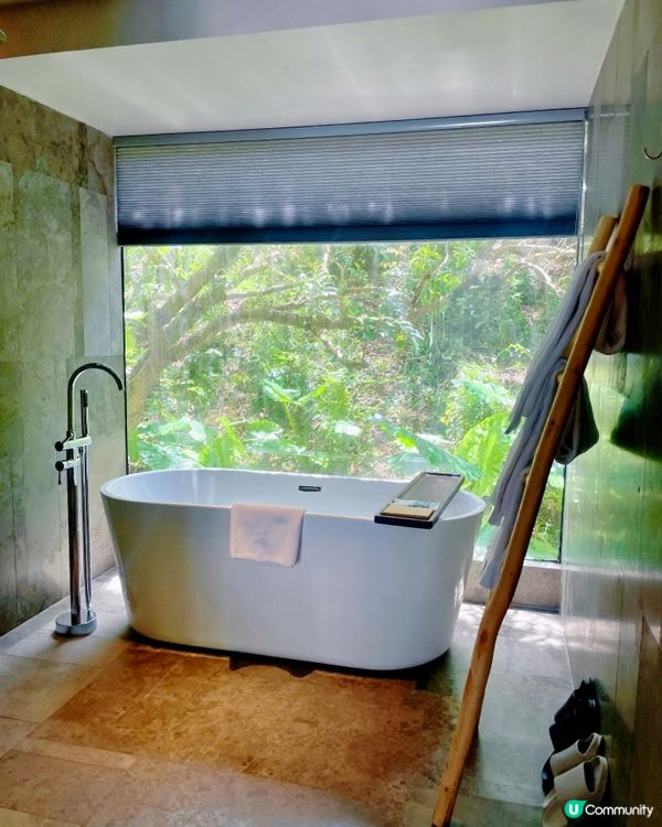 閨蜜說這裡像隱世小京都💗我說這裡像在深山裡享受的森林浴⋯⋯