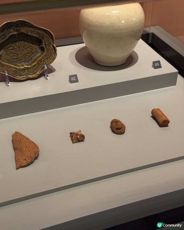 唐風萬里展覽🤩！帶埋小朋友嚟睇！取免費禮物 🎁