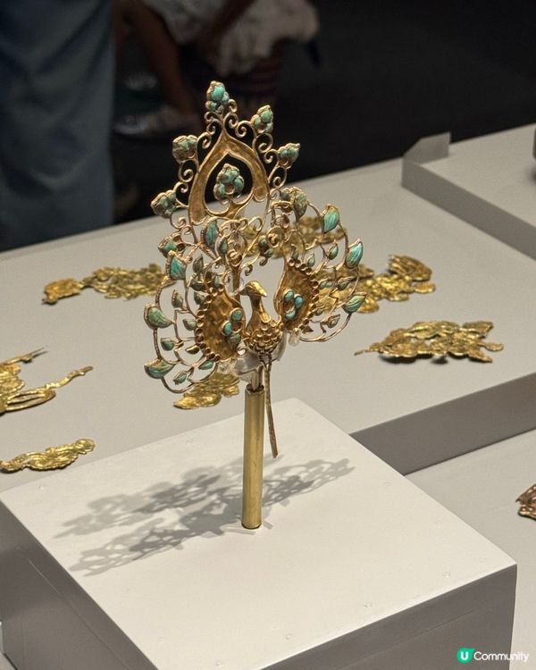 唐風萬里展覽🤩！帶埋小朋友嚟睇！取免費禮物 🎁