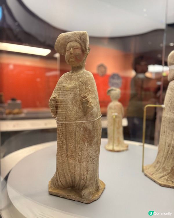 唐風萬里展覽🤩！帶埋小朋友嚟睇！取免費禮物 🎁