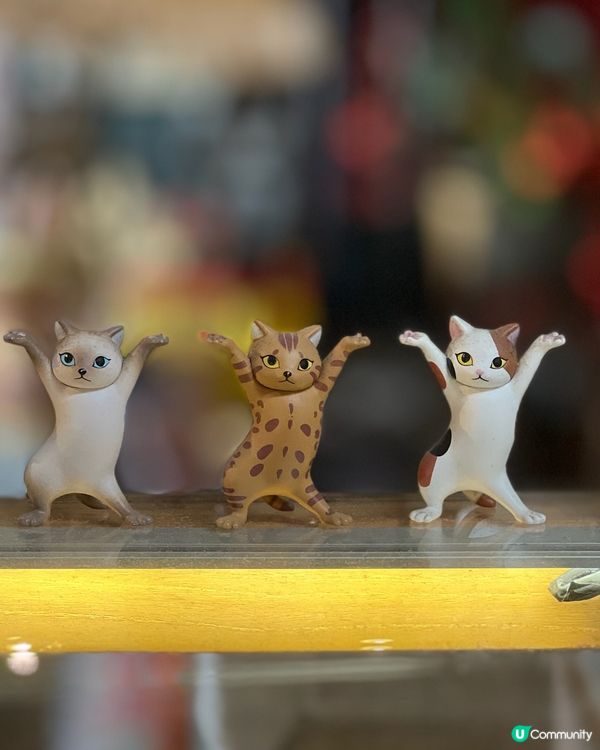 四日珠海遊！食玩買住♨️🤤