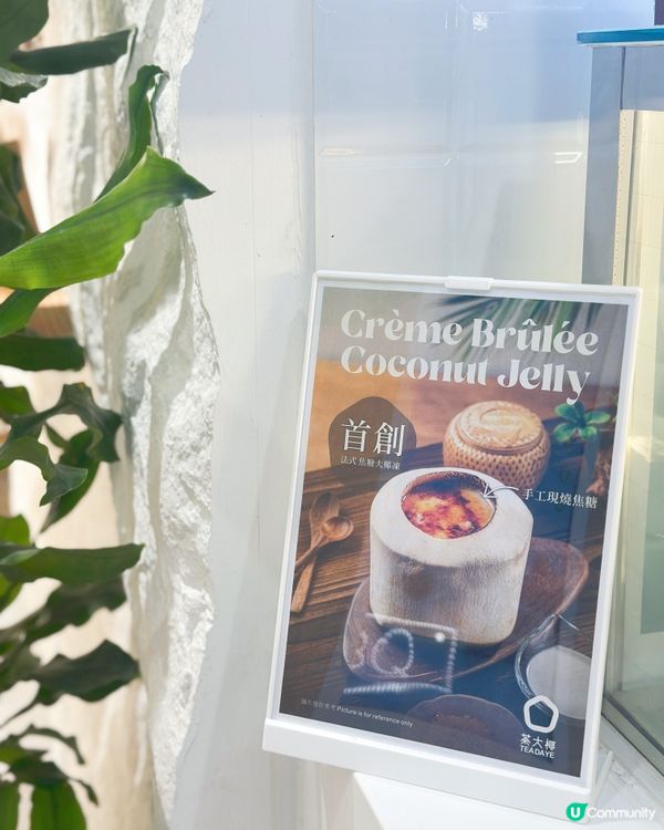 茶大椰灣仔新店開張！🥥