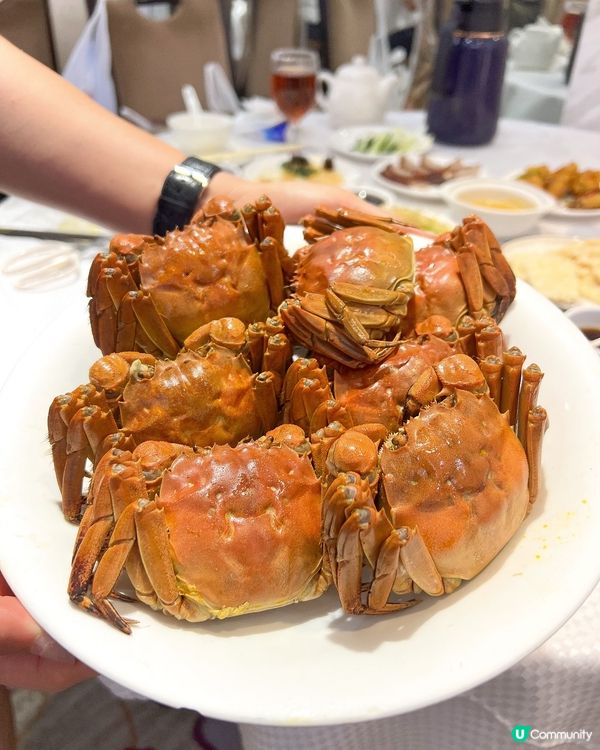 ʚ♡ 大閘蟹放題 • 多道菜式任你食 ♡ɞ