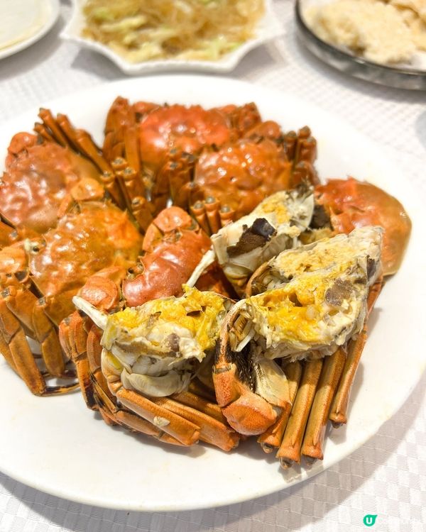 ʚ♡ 大閘蟹放題 • 多道菜式任你食 ♡ɞ