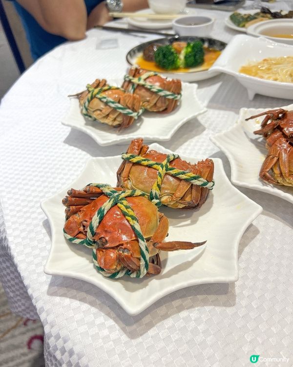 ʚ♡ 大閘蟹放題 • 多道菜式任你食 ♡ɞ