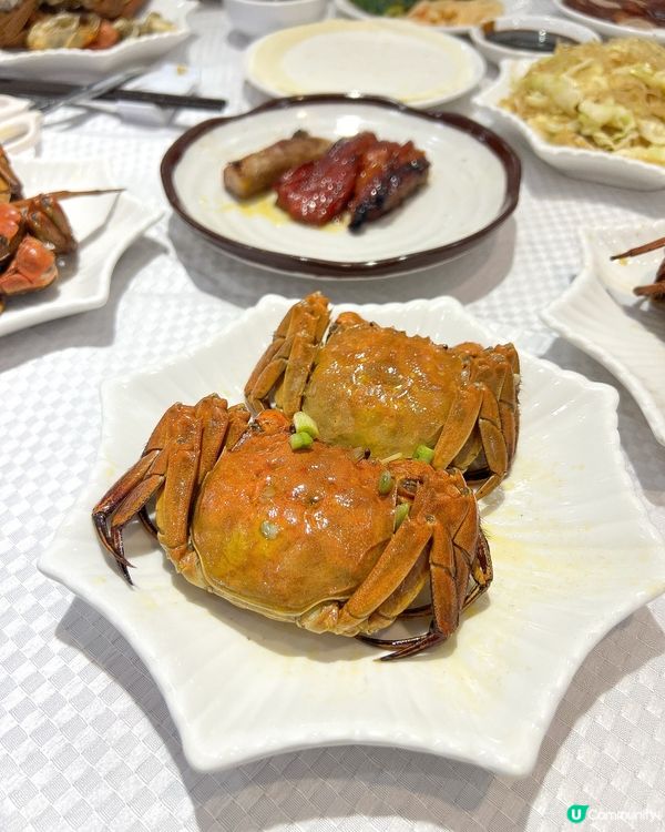 ʚ♡ 大閘蟹放題 • 多道菜式任你食 ♡ɞ