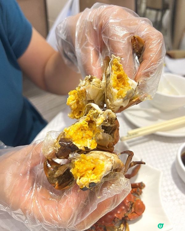 ʚ♡ 大閘蟹放題 • 多道菜式任你食 ♡ɞ