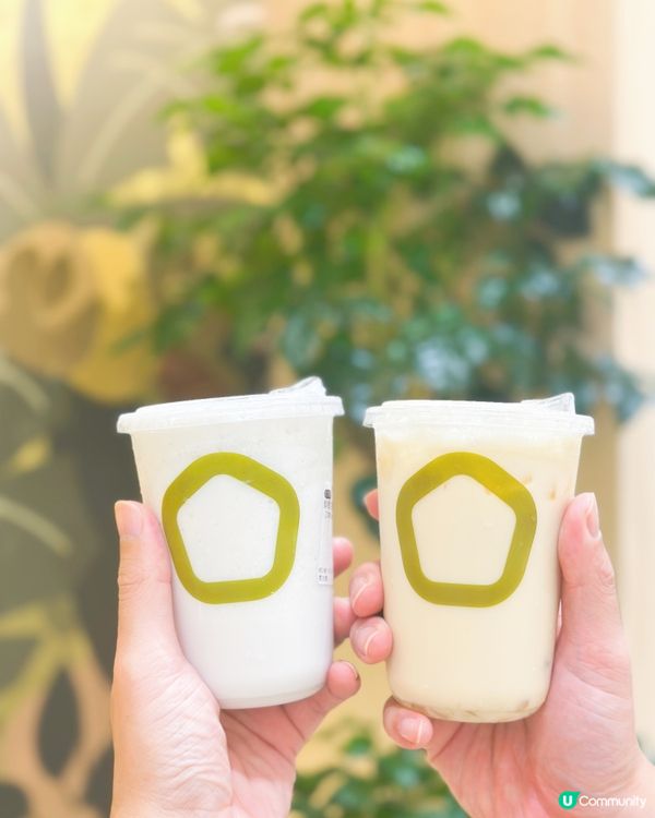 茶大椰灣仔新店開張！🥥